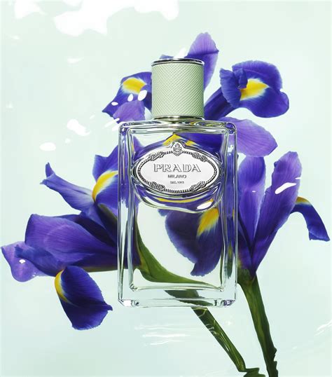 infusion d'iris prada douglas|prada infusion d'iris 100ml.